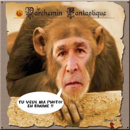 rien a ajouter